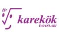 Karekök Yayınları